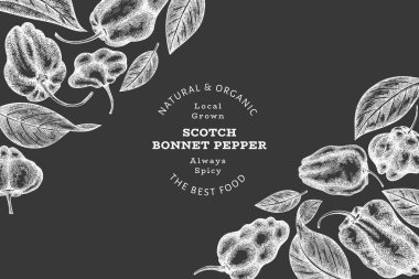 Elle çizilmiş taslak stili İskoç şapkası biber afişi. Tebeşir tahtasında organik taze sebze çizimi. Retro cayenne biber tasarım şablonu