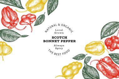 Elle çizilmiş taslak stili İskoç şapkası biber afişi. Organik taze sebze vektör çizimi. Retro cayenne biber tasarım şablonu