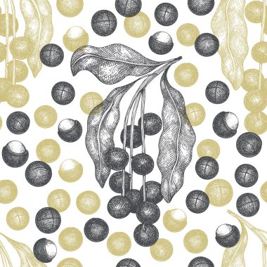 El yapımı Macadamia dalı ve çekirdekler pürüzsüz desen. Beyaz arka planda organik gıda vektör illüstrasyonu. Retro fındık çizimi. İşlenmiş biçim botanik arkaplanı.