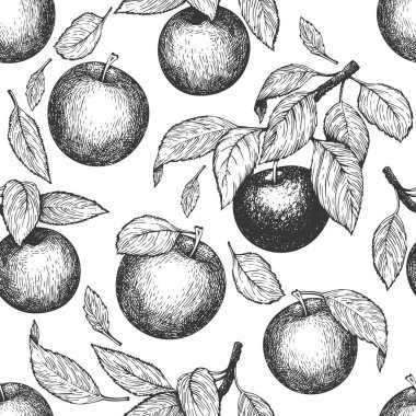 Elma dalı kusursuz desen. El çizimi vektör bahçesi meyve çizimi. İşlenmiş stil meyve retro botanik afişi.