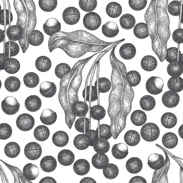 Χειροποίητο Κλαδί Μακαντέμια Και Πυρήνες Χωρίς Ραφή Μοτίβο Βιολογική Απεικόνιση — Διανυσματικό Αρχείο