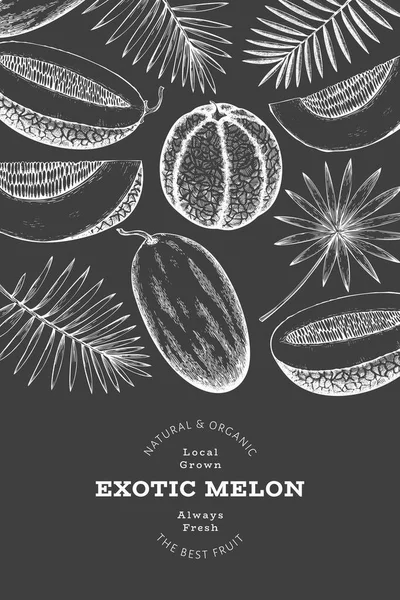Meloni Con Foglie Tropicali Modello Design Illustrazione Frutta Esotica Vettoriale — Vettoriale Stock