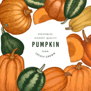 Kabak rengi tasarım şablonu. Vektör el çizimleri. Balkabağı hasadıyla geçmişe dönük Şükran Günü arkaplanı. Sonbahar arkaplanı.