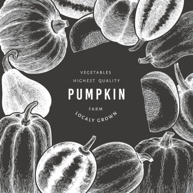 Balkabağı tasarım şablonu. Tebeşir tahtasında vektör el çizimleri. Balkabağı hasadıyla geçmişe dönük Şükran Günü arkaplanı. Sonbahar arkaplanı.