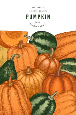 Kabak rengi tasarım şablonu. Vektör el çizimleri. Balkabağı hasadıyla geçmişe dönük Şükran Günü arkaplanı. Sonbahar arkaplanı.