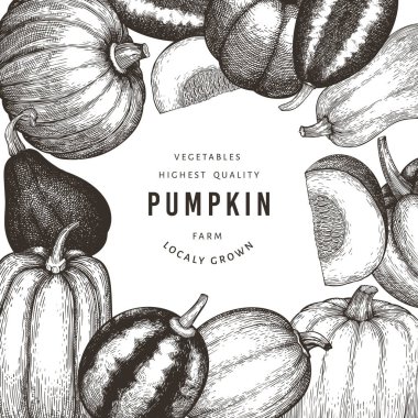 Kabak rengi tasarım şablonu. Vektör el çizimleri. Balkabağı hasadıyla geçmişe dönük Şükran Günü arkaplanı. Sonbahar arkaplanı.