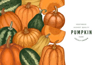 Kabak rengi tasarım şablonu. Vektör el çizimleri. Balkabağı hasadıyla geçmişe dönük Şükran Günü arkaplanı. Sonbahar arkaplanı.