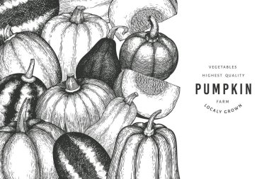 Kabak rengi tasarım şablonu. Vektör el çizimleri. Balkabağı hasadıyla geçmişe dönük Şükran Günü arkaplanı. Sonbahar arkaplanı.