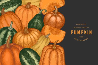 Kabak rengi tasarım şablonu. Vektör el çizimleri. Balkabağı hasadıyla geçmişe dönük Şükran Günü arkaplanı. Sonbahar arkaplanı.