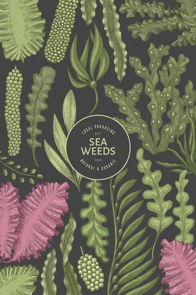 Deniz yosunu tasarım şablonu. El çizimi vektör yosunları çizim yapar. İşlenmiş stil deniz ürünleri afişi. Retro deniz bitkileri arka planı