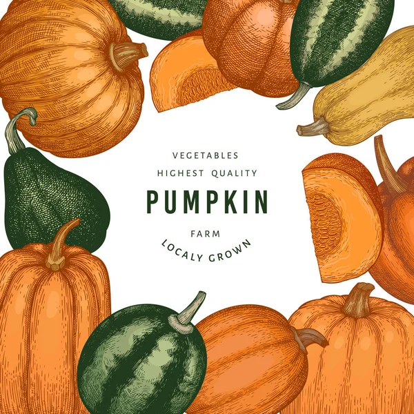 Kabak rengi tasarım şablonu. Vektör el çizimleri. Balkabağı hasadıyla geçmişe dönük Şükran Günü arkaplanı. Sonbahar arkaplanı.