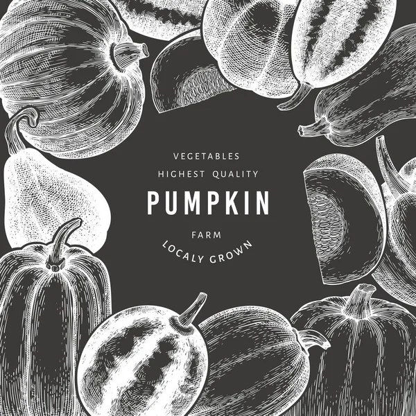 Balkabağı tasarım şablonu. Tebeşir tahtasında vektör el çizimleri. Balkabağı hasadıyla geçmişe dönük Şükran Günü arkaplanı. Sonbahar arkaplanı.