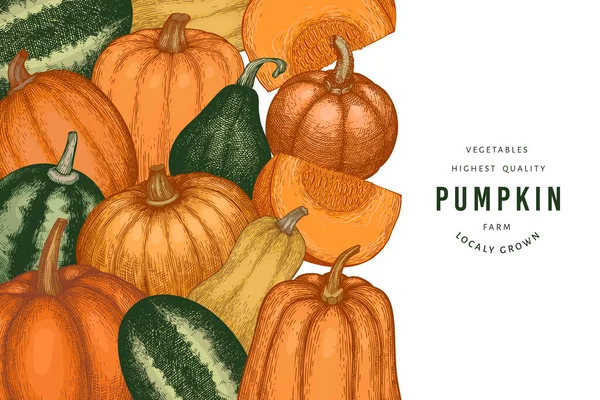 Kabak rengi tasarım şablonu. Vektör el çizimleri. Balkabağı hasadıyla geçmişe dönük Şükran Günü arkaplanı. Sonbahar arkaplanı.