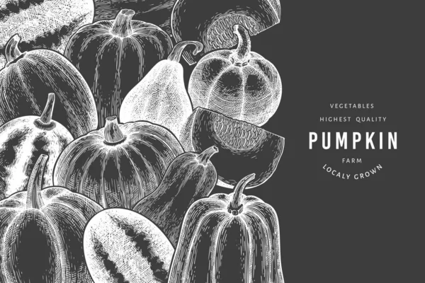 Balkabağı tasarım şablonu. Tebeşir tahtasında vektör el çizimleri. Balkabağı hasadıyla geçmişe dönük Şükran Günü arkaplanı. Sonbahar arkaplanı.