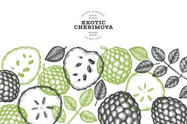 El yapımı çizim stili Cherimoya afişi. Organik taze meyve vektörü çizimi. İşlenmiş stil botanik tasarım şablonu.