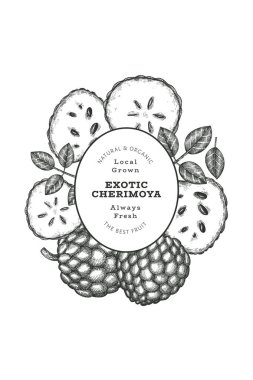 El yapımı çizim stili Cherimoya afişi. Organik taze meyve vektörü çizimi. İşlenmiş stil botanik tasarım şablonu.