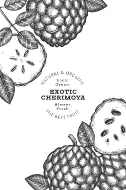 El yapımı çizim stili Cherimoya afişi. Organik taze meyve vektörü çizimi. İşlenmiş stil botanik tasarım şablonu.