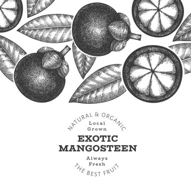El çizimi mangosteen tasarım şablonu. Beyaz arka planda organik taze gıda vektör çizimi. Retro meyve pankartı.