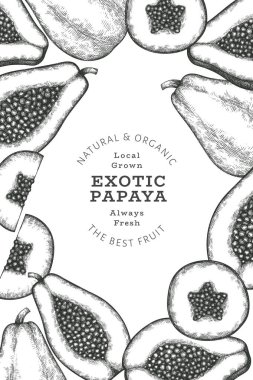 El çizimi papaya afişi. Organik taze meyve vektörü çizimi. Retro meyve tasarım şablonu