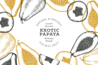 El çizimi papaya afişi. Organik taze meyve vektörü çizimi. Retro meyve tasarım şablonu