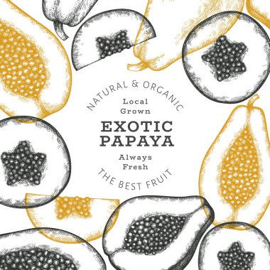 El çizimi papaya afişi. Organik taze meyve vektörü çizimi. Retro meyve tasarım şablonu