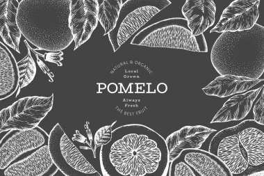 El çizimi eskiz tarzı pomelo afişi. Tebeşir tahtasında organik taze meyve vektör çizimi. Retro meyve tasarım şablonu