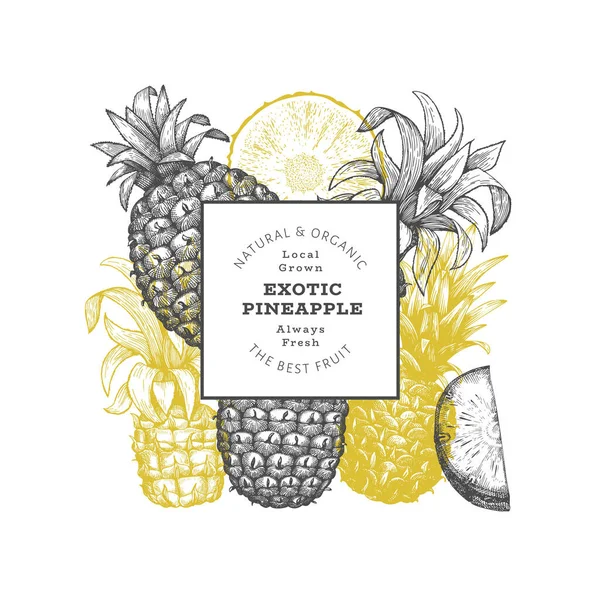Çizimi Ananas Pankartı Organik Taze Meyve Vektörü Çizimi Şlenmiş Stil — Stok Vektör