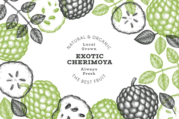 El yapımı çizim stili Cherimoya afişi. Organik taze meyve vektörü çizimi. İşlenmiş stil botanik tasarım şablonu.