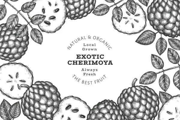 El yapımı çizim stili Cherimoya afişi. Organik taze meyve vektörü çizimi. İşlenmiş stil botanik tasarım şablonu.
