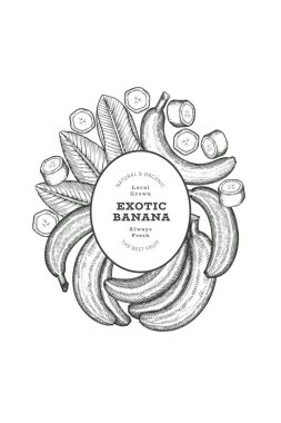 Elle çizilmiş muz pankartı. Organik taze meyve vektörü çizimi. Retro egzotik meyve tasarım şablonu
