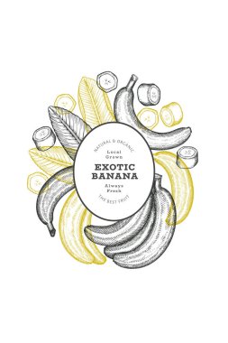 Elle çizilmiş muz pankartı. Organik taze meyve vektörü çizimi. Retro egzotik meyve tasarım şablonu