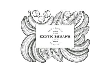 Elle çizilmiş muz pankartı. Organik taze meyve vektörü çizimi. Retro egzotik meyve tasarım şablonu