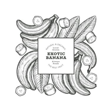 Elle çizilmiş muz pankartı. Organik taze meyve vektörü çizimi. Retro egzotik meyve tasarım şablonu