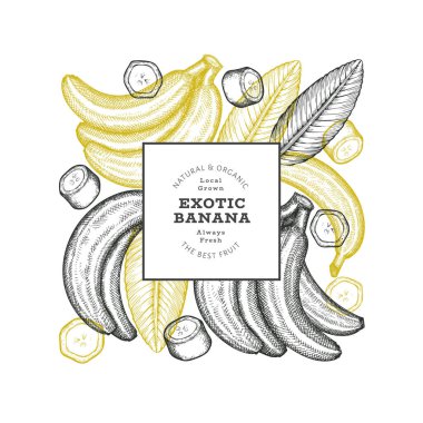 Elle çizilmiş muz pankartı. Organik taze meyve vektörü çizimi. Retro egzotik meyve tasarım şablonu