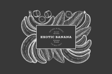 Elle çizilmiş muz pankartı. Tebeşir tahtasında organik taze meyve vektör çizimi. Retro egzotik meyve tasarım şablonu