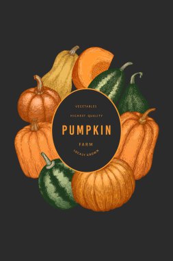 Kabak rengi tasarım şablonu. Vektör el çizimleri. Balkabağı hasadıyla geçmişe dönük Şükran Günü arkaplanı. Sonbahar arkaplanı.