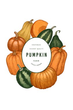 Kabak rengi tasarım şablonu. Vektör el çizimleri. Balkabağı hasadıyla geçmişe dönük Şükran Günü arkaplanı. Sonbahar arkaplanı.