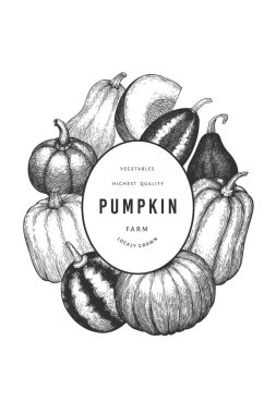 Kabak rengi tasarım şablonu. Vektör el çizimleri. Balkabağı hasadıyla geçmişe dönük Şükran Günü arkaplanı. Sonbahar arkaplanı.