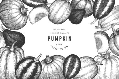 Kabak rengi tasarım şablonu. Vektör el çizimleri. Balkabağı hasadıyla geçmişe dönük Şükran Günü arkaplanı. Sonbahar arkaplanı.