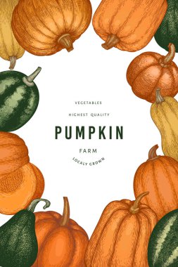 Kabak rengi tasarım şablonu. Vektör el çizimleri. Balkabağı hasadıyla geçmişe dönük Şükran Günü arkaplanı. Sonbahar arkaplanı.