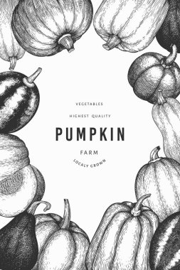 Kabak rengi tasarım şablonu. Vektör el çizimleri. Balkabağı hasadıyla geçmişe dönük Şükran Günü arkaplanı. Sonbahar arkaplanı.