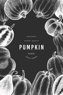 Balkabağı tasarım şablonu. Tebeşir tahtasında vektör el çizimleri. Balkabağı hasadıyla geçmişe dönük Şükran Günü arkaplanı. Sonbahar arkaplanı.