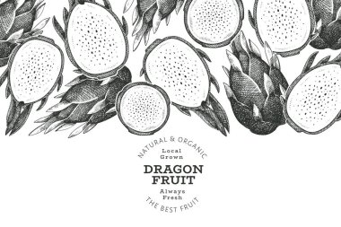 Elle çizilmiş ejderha meyve tasarımı şablonu. Organik taze gıda vektör çizimi. Retro pitaya meyve pankartı.