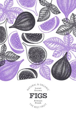 El çizimi incir meyvesi tasarım şablonu. Organik taze gıda vektör çizimi. Retro incir meyve pankartı.