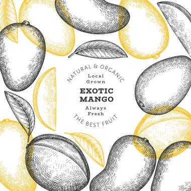 El çizimi mango afişi. Organik taze meyve vektörü çizimi. Retro mango meyve tasarım şablonu