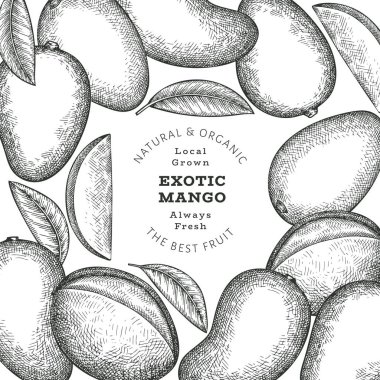 El çizimi mango afişi. Organik taze meyve vektörü çizimi. Retro mango meyve tasarım şablonu