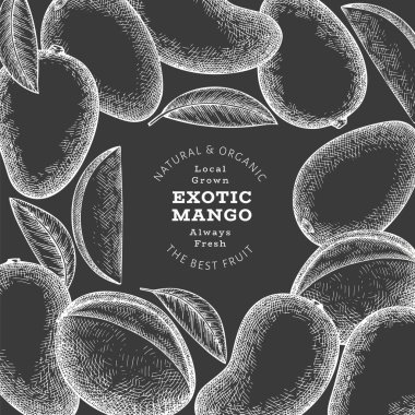 El çizimi mango afişi. Tebeşir tahtasında organik taze meyve vektör çizimi. Retro mango meyve tasarım şablonu