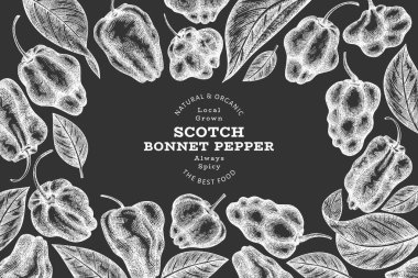 Elle çizilmiş taslak stili İskoç şapkası biber afişi. Tebeşir tahtasında organik taze sebze çizimi. Retro cayenne biber tasarım şablonu