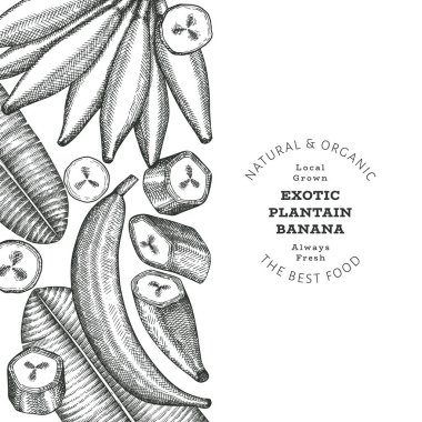 Elle çizilmiş taslak tarzı muz afişi. Organik taze meyve vektörü çizimi. Retro egzotik muz meyve tasarım şablonu