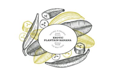 Elle çizilmiş taslak tarzı muz afişi. Organik taze meyve vektörü çizimi. Retro egzotik muz meyve tasarım şablonu